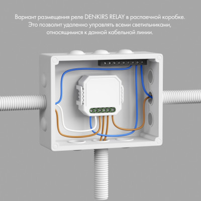 Wi-Fi реле Relay RL1004-DM/1